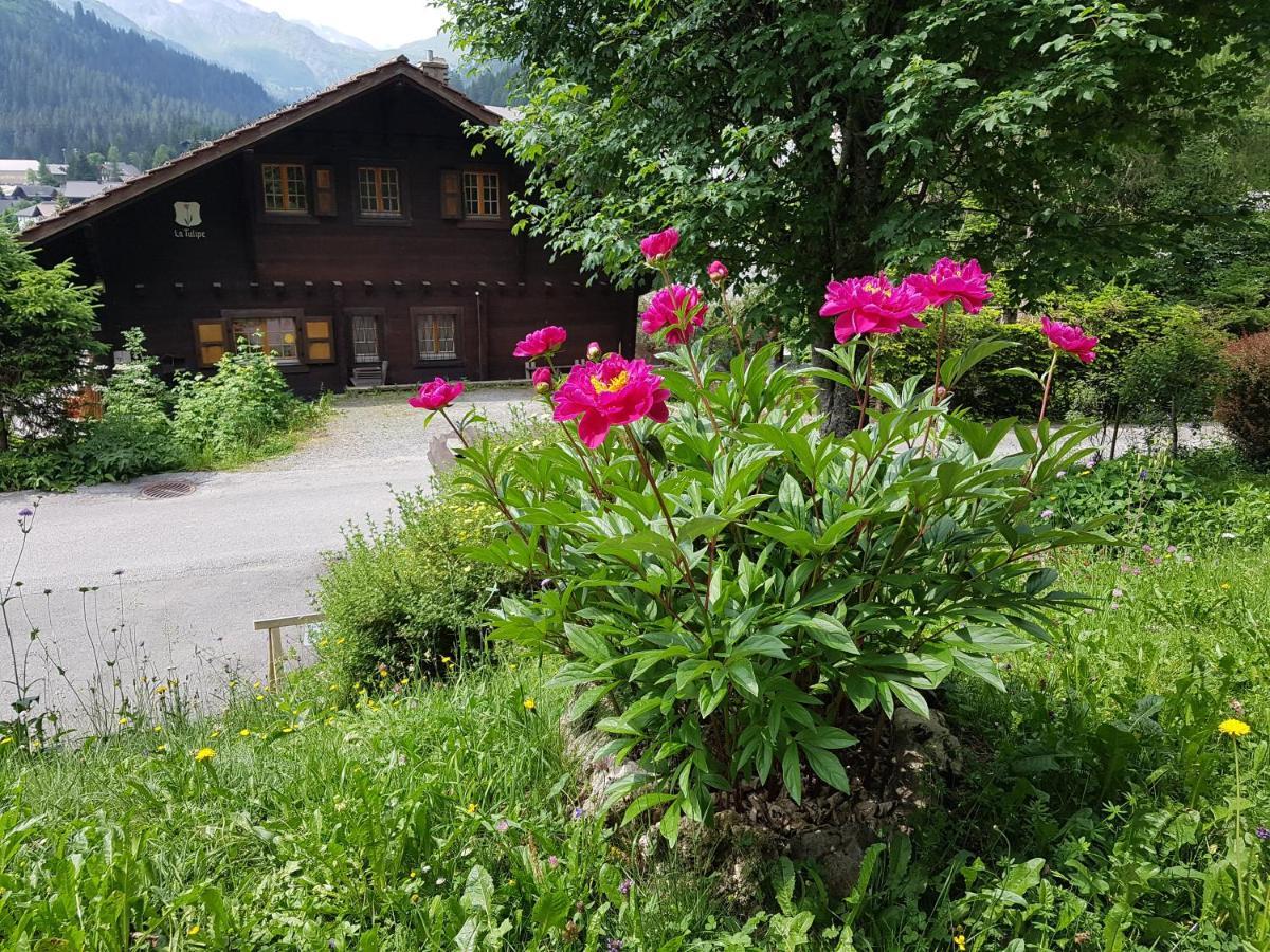 莫尔金斯Le Castor住宿加早餐旅馆 外观 照片